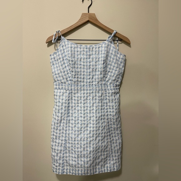 Madewell Tie-Strap Baby Doll Blue & White Sheer Gingham Mini Dress - Picture 3 of 12